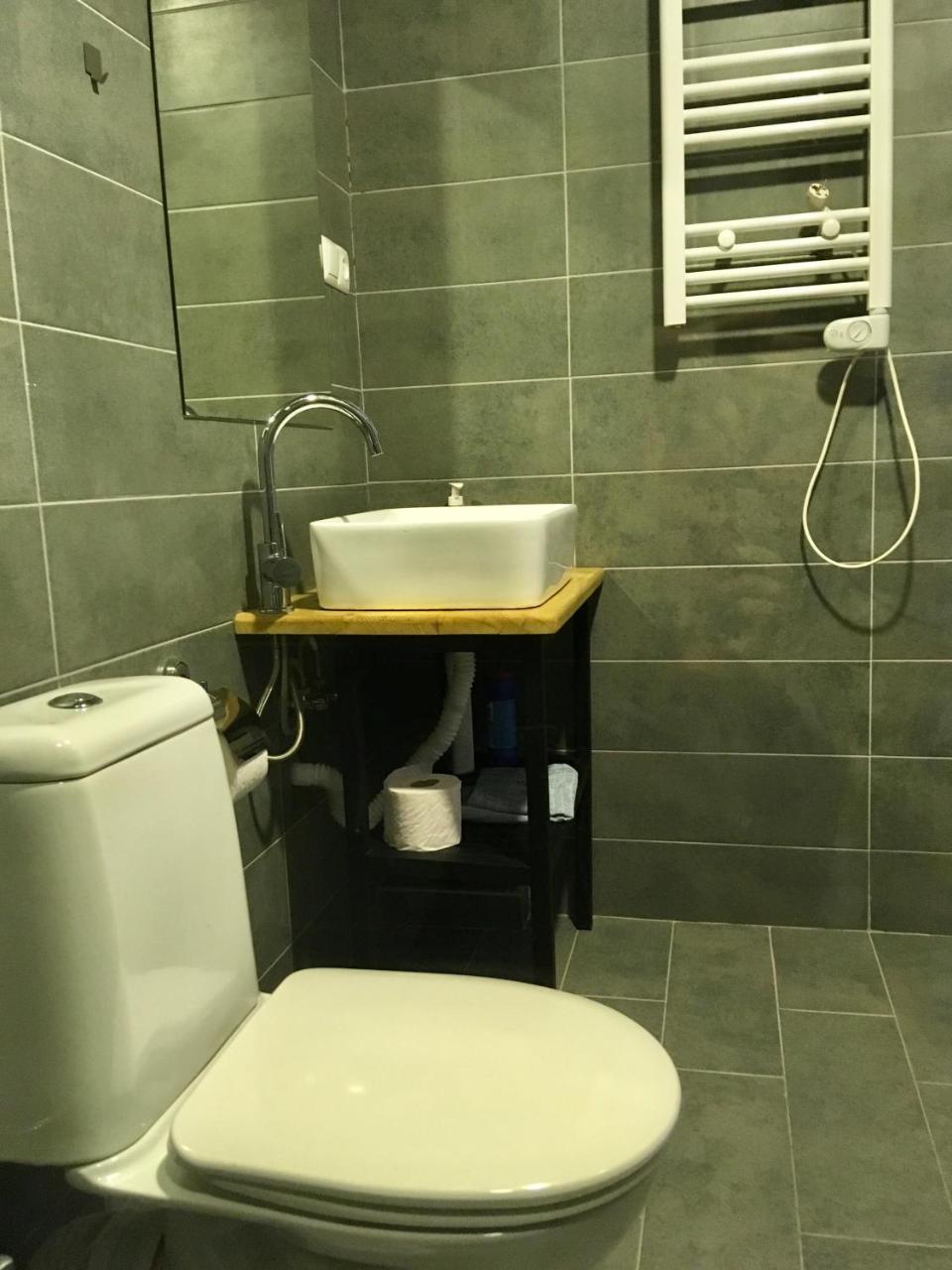 דירה Loft -apartment גודאורי