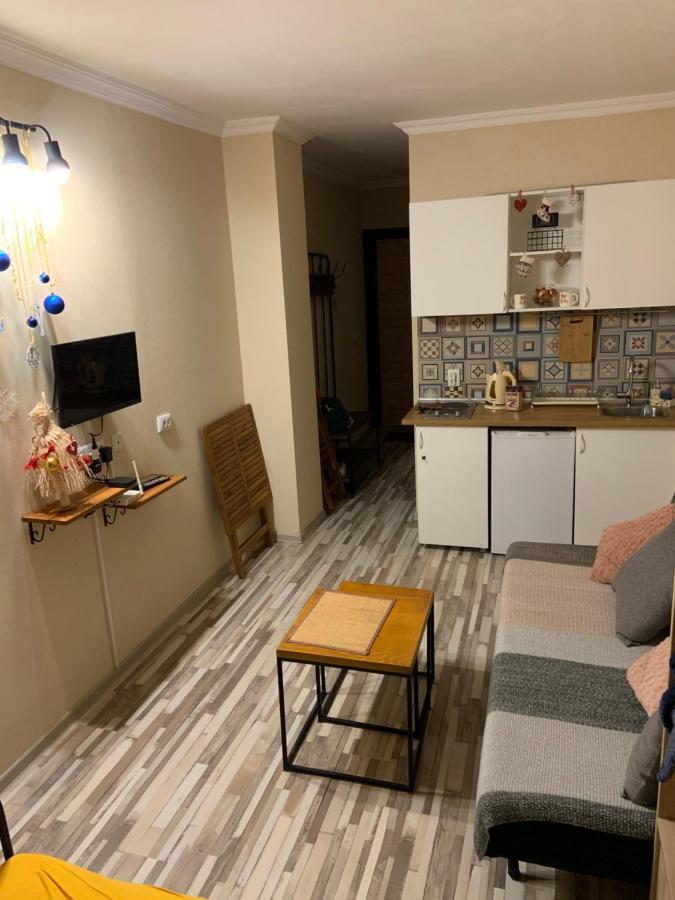 Loft -apartment דירה גודאורי
